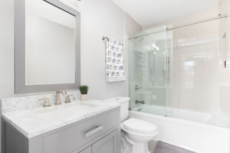 Top Tub To Shower Conversion Companies in Centreville, VA